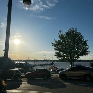 Meet your Posher, Izzy